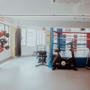 플렉스 복싱 PT 이미지