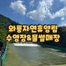 와룡 | 와룡자연휴양림 수영장 물썰매장 개장 후기(2025년 물놀이 계곡)