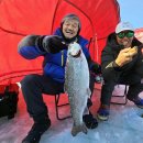 평창송어 이미지