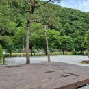 수입리민박 이미지