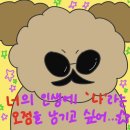 육일세차장 | 나의 2월에 온 걸 환영해