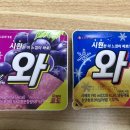 순돌이네 이미지