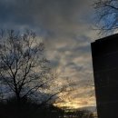 아지나라 이미지