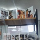 피움동물병원 이미지