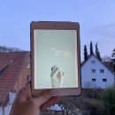 진동도서관 | [헤어곽의 도서관] 독서후기 2026-016. 너무 한낮의 연애 - 김금희