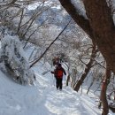 하산길 이미지