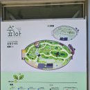 부천호수식물원 수피아 | 부천 가볼만한곳 실내데이트 추천 부천호수식물원 수피아 방문 후기