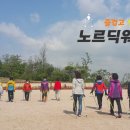 노르딕워킹 네이버블로그