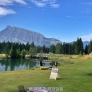 무릉도원면-10 이미지