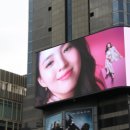 씨티빌딩(시티) 이미지