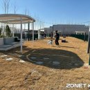 스타 반려견 교육센터 이미지