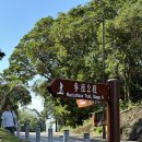 [새로운 도전]트래킹 어디까지 해봤니? | [홍콩여행 5] 새로운 홍콩을 만나고 싶다면? 맥리호스 트레일! 홍콩 트래킹 추천 코스 MacLehose trail...