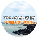 버스정류소_성산포수협표선지점 | [제주도 3박 4일 겨울 여행] 제주 뚜벅이 버스 여행 일정! (+ 제주도 버스 솔직한 후기)