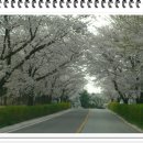 광주컨트리클럽 이미지