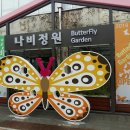 맛난 점심 시간 (서울숲점 전설의짬뽕) 이미지