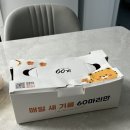 60계 전남광양중마점 이미지