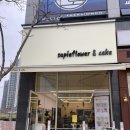 수피아플라워 이미지