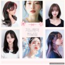 허브지노 이미지