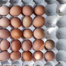 무량농장 이미지