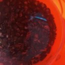 광원민박 이미지