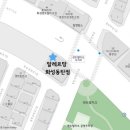 알레르망화성