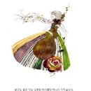 바이올린 (B) 이미지