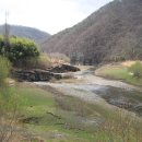 울주 대곡리 반구대 암각화 이미지