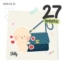 여리농장 | 임산부 일상 27주 : 임산부 코디(임부복 안사도 되는 꿀팁🍯), 밤리단길 데이트 코스, 설날 먹고 자고