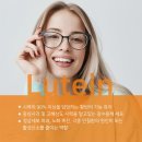 FEEL 안경 이미지