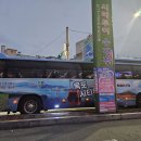 광주시티투어 | 멋과 낭만이 있는 목포 야경시티투어 내돈내산 솔직후기