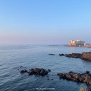 용원농수산직판장