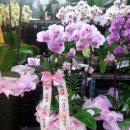 새명약국 이미지