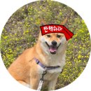 현정누리 | &lt;&lt;12월 퀘스트&gt;&gt; 내란수괴 몰아내기