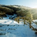 타향여인숙