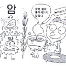 한국루이보스 - 안양시 동안구 호계동 | 한국루이보스