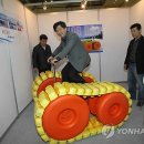 육지와바다 이미지