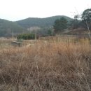 창녕부동산중개 이미지