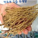 산야초건강원 이미지