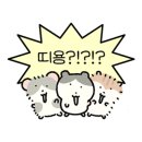 선돌이네 이미지