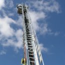 오픈콜라 이미지