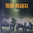 할매 솥뚜껑 흑돼지 삼겹살 경북도청점 | [경북도청 맛집] 경북도청 흑돼지 맛집 할매솥뚜껑삼겹살