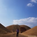 토토하우스 민박 | 겨울 경주2박3일 여행 마지막날 ( 쉼표독채민박 , 찰보리빵 천년애 , 동양백반, 도깨비명당 , 대릉원...