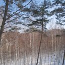 꽃피는산골1 이미지