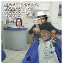 심영 Daum카페