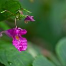 선고낚시터 이미지