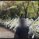 서현초교 앞 이미지