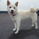 훈트가르텐 이미지