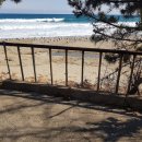 영덕공인중개사사무소 이미지