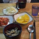 하나비돈부리 이미지