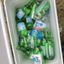 청일관광농원 | 횡성캠핑장 : 5개월아기와 함께 캠핑하기 ‘청일관광농원’